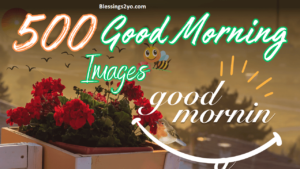 Read more about the article 10 Good Morning Habits That Successful People Swear By