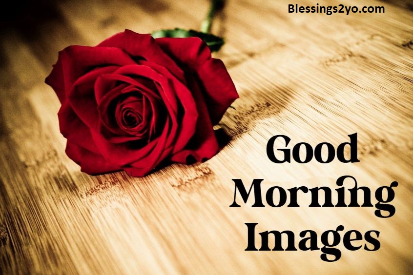 Read more about the article Why “Good Morning” Hits Different When You Actually Mean It