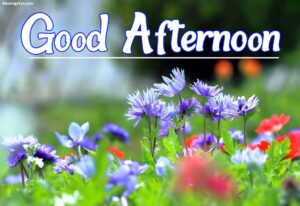 Read more about the article Good Afternoon Reclaiming the Most Wasted Part of Your Day