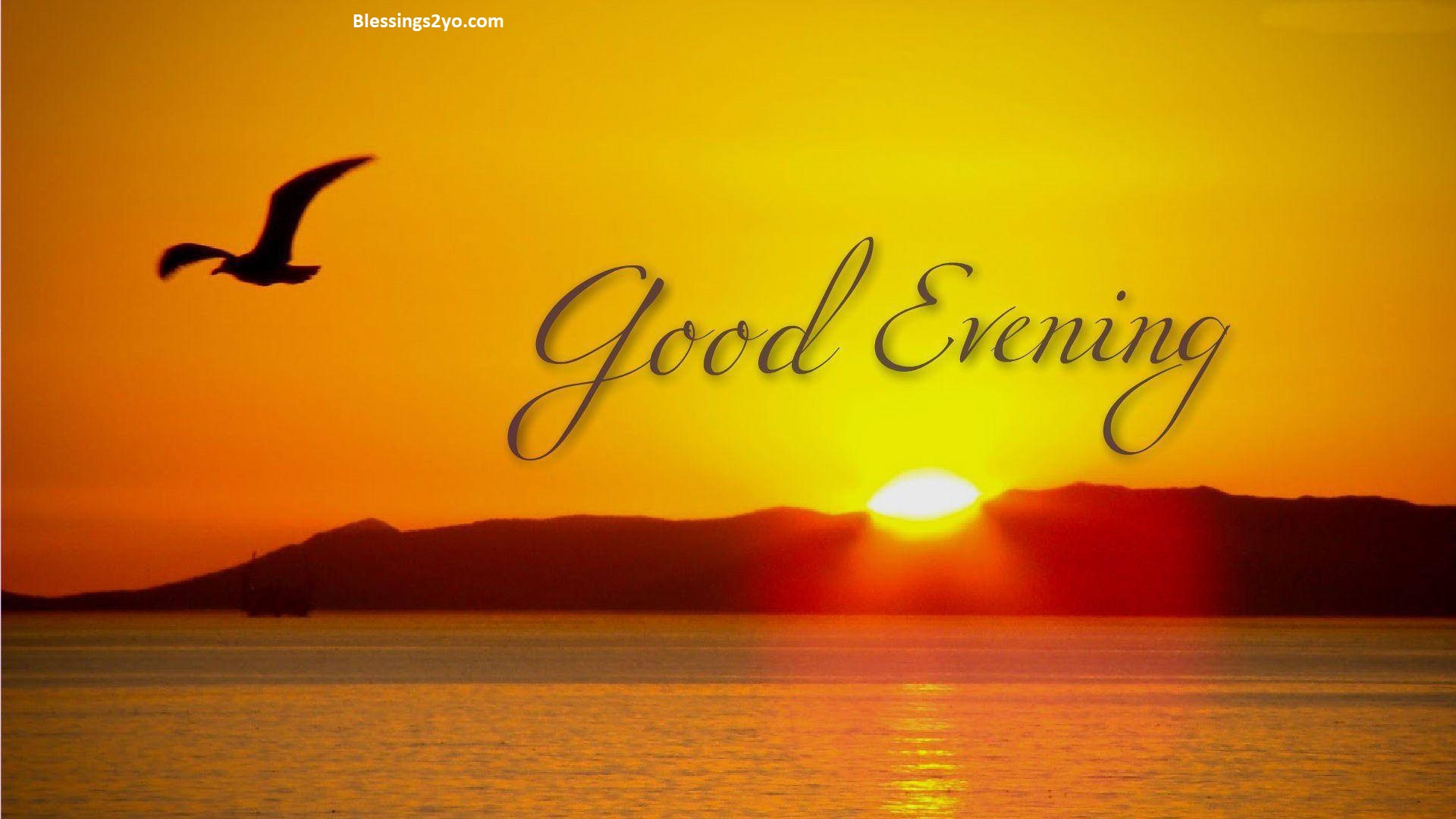 Read more about the article Good Evening Heartwarming Quotes to End Your Day with Positivity
