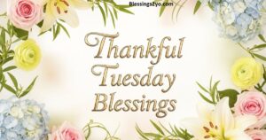 Read more about the article Tuesday Blessings Why the Middle of the Week Deserves More Love Than You Think
