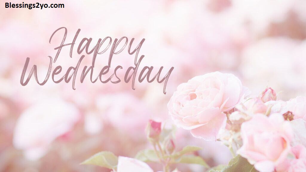 Read more about the article Wednesday Blessings God Has Something Special For You Today