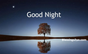 Read more about the article Beautiful Good Night Messages Filled with Love, Peace & Blessings