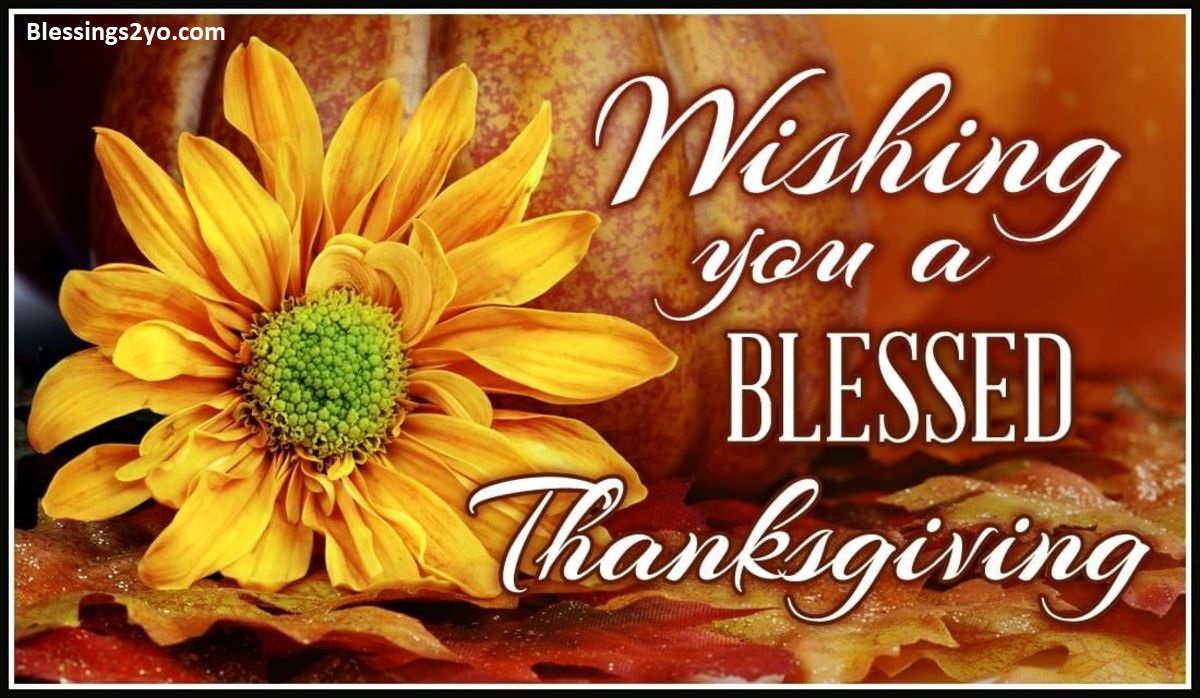 Read more about the article Thanksgiving Blessings 100 Heartfelt Wishes, Prayers, and Quotes (2026)