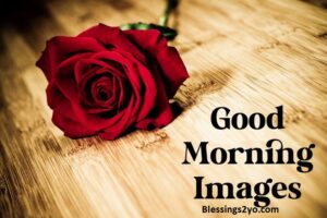 Read more about the article Good Morning Images Cute, Lovely & Heartwarming Morning Wishes