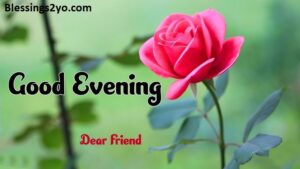 Read more about the article Good Evening Blessings and Prayers Beautiful Messages for a Blessed Night