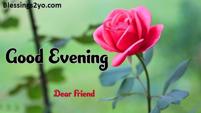 Read more about the article Good Evening Blessings and Prayers Beautiful Messages for a Blessed Night