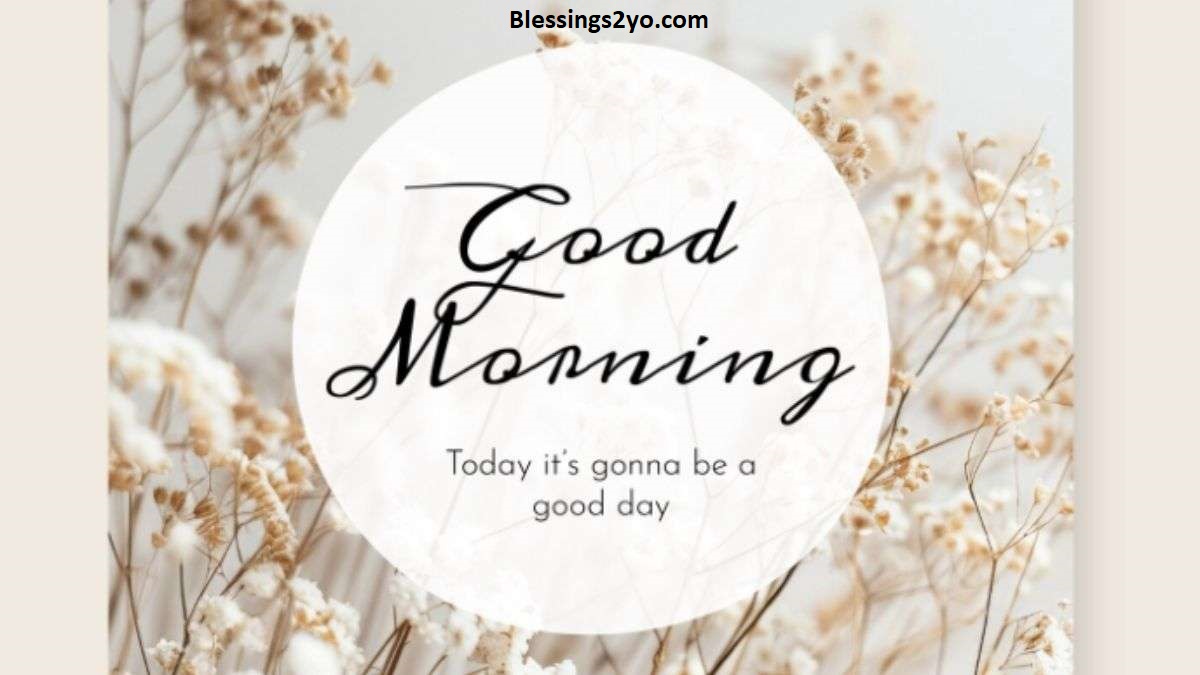 Read more about the article Good Morning Quotes for Friends, Family & Someone Special